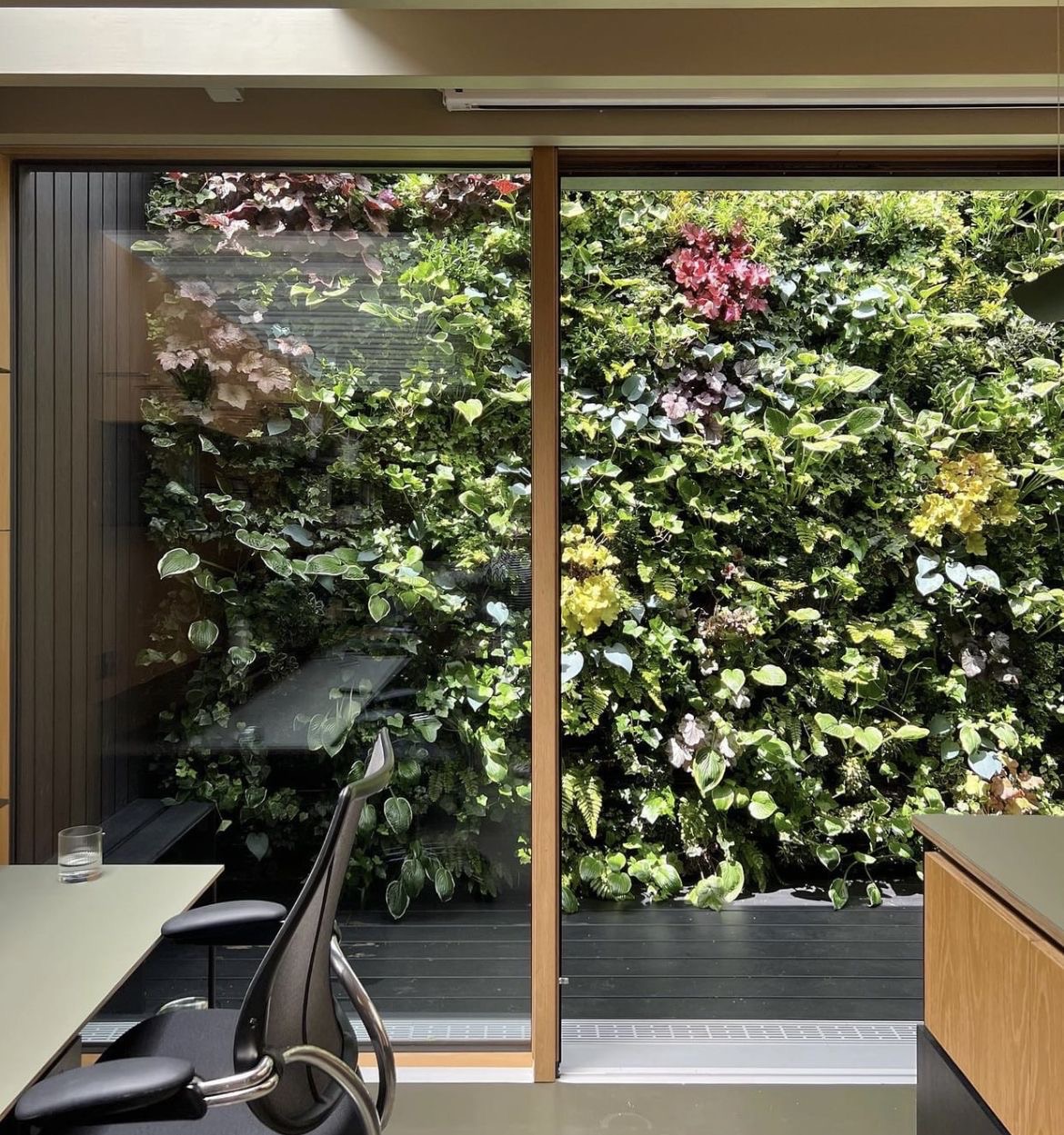 Living wall of mixed foliage beside glass doors
